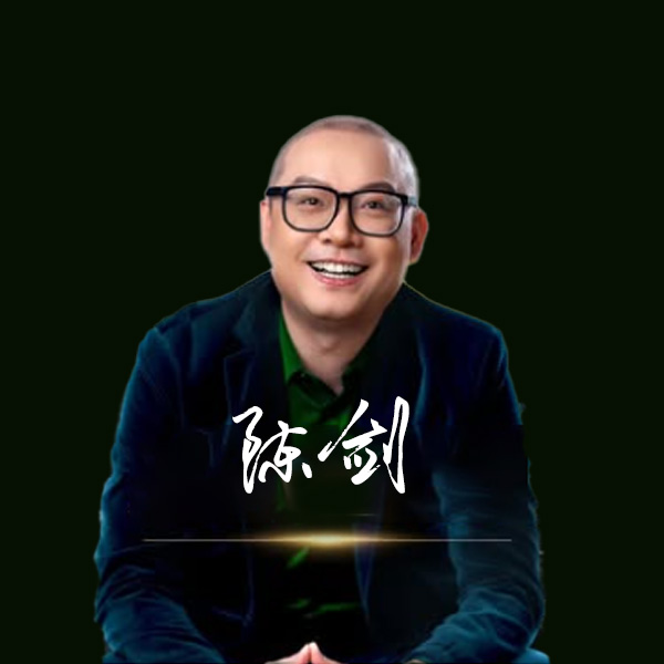 陈剑老师